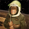 Chimpansee eerste ruimtevaarder