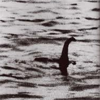 Foto monster van Loch Ness vals