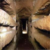 Ontdekking Catacomben van Rome