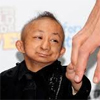 He Pingping