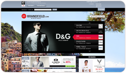 Logo Brandfield.com groot